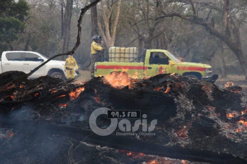 Declaran situación de emergencia nacional por incendios y autorizan solicitar ayuda 