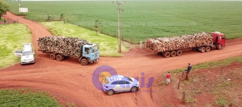 Incautan camiones con madera de desmonte ilegal