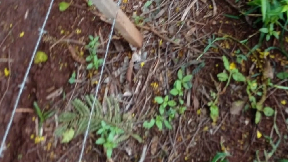 Alambrado electrificado mata a un agricultor