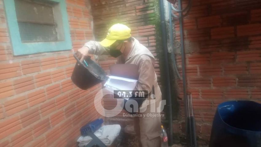 Pedro Juan y Zanja Pyta en riesgo por alta infestación larvaria