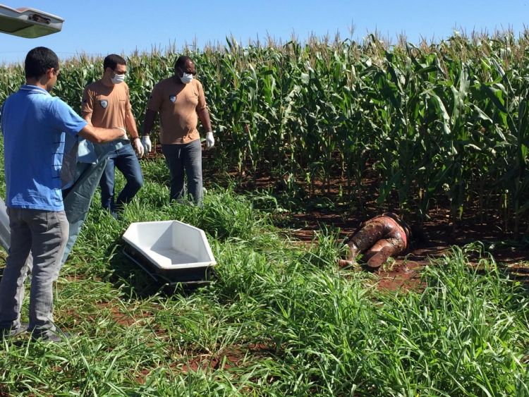 Hallan cuerpo de una mujer asesinada en Ponta PorÍ£