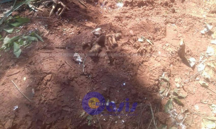 Hallan restos óseos de 3 cuerpo humano enterrado en una fosa en Bella Vista