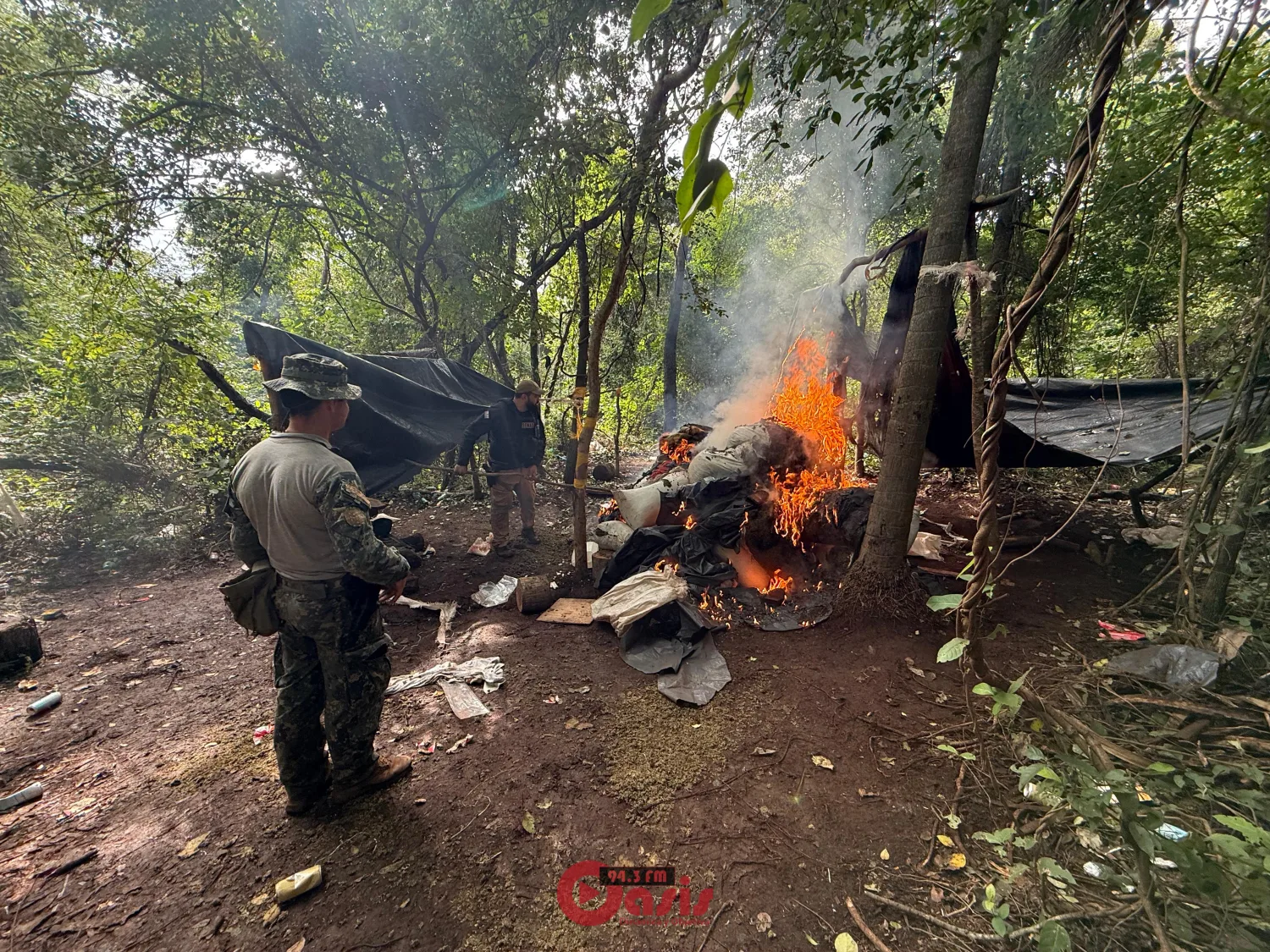 SENAD y FTC destruyen campamentos narcos y más de 7 toneladas de marihuana en Potrero Sur