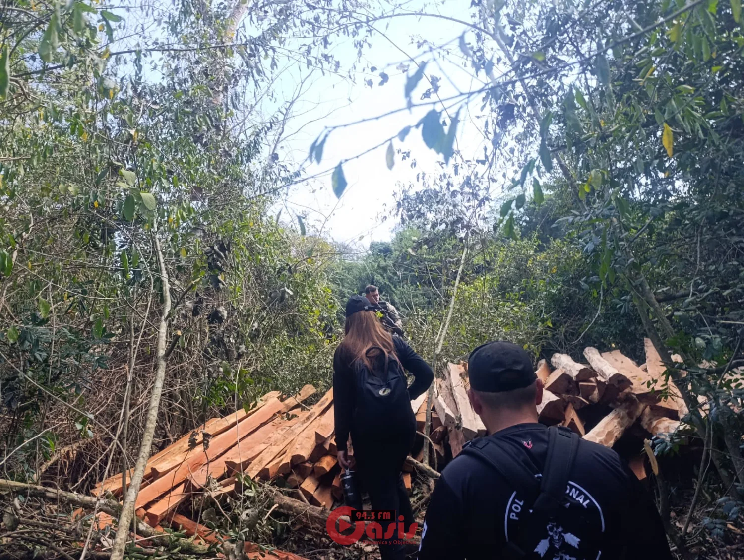 Tres hombres son aprehendidos por presuntos delitos ambientales y tala ilegal en Bella Vista Norte